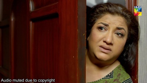 15.Bahu-Rani-Saas-Sayani-_-HUM-TV-_-Telefilm.mp4-2.jpg