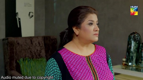15.Bahu-Rani-Saas-Sayani-_-HUM-TV-_-Telefilm.mp4-7.jpg