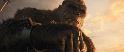 Godzilla vs Kong (2021) 1080p HDRip x264 DD5 1 [Dual Audio][Hindi+English] DUS Excl