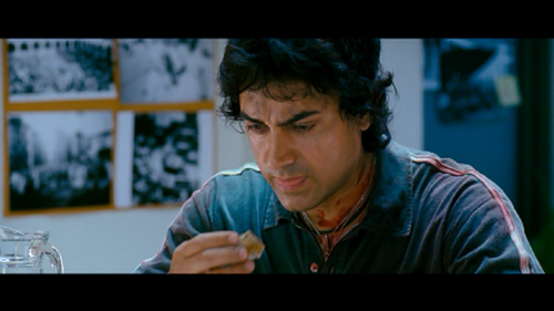 rang de basanti 2006