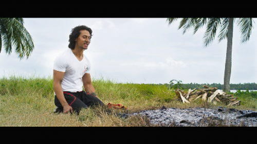 Baaghi-2016-1080p-Bluray-Remux-AVC-TrueHD-Atmos-7.1-DusIctv.mkv_20210529_200800.574.png