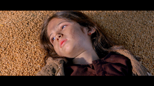 Bajrangi-Bhaijaan-2015-1080p-BlurayRemux-AVC-DTSHD-MA-7.1-DusIctv.mkv_20210710_120151.818796ddb2172461688.png