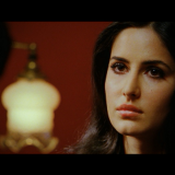 Ek-Tha-Tiger-2012-1080p-BlurayRemux-AVC-TrueHD7.1-DusIctv.mkv_20210712_140805.378047a73a1f11d79a4