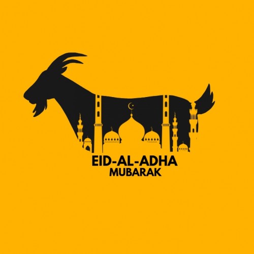 Eid-Ul-Adhab73cd433bd4a17db.jpg