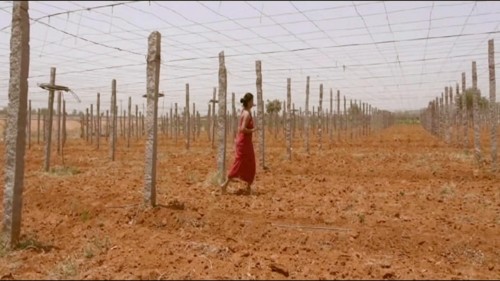 Prema-Gulabi-6.jpg