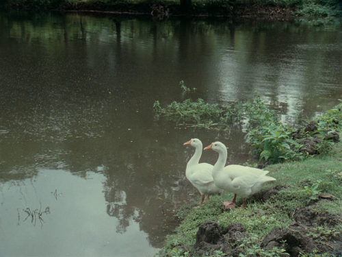 vlcsnap-2022-01-23-13h10m35s284.png