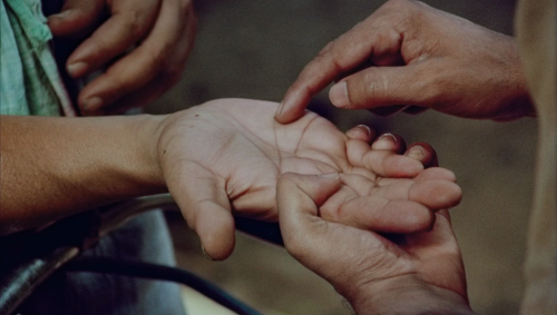 vlcsnap-2022-02-01-10h10m43s055.png