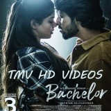 Bachelor-2021-TMV