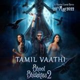 bhool-bhulaiyaa-2-TV