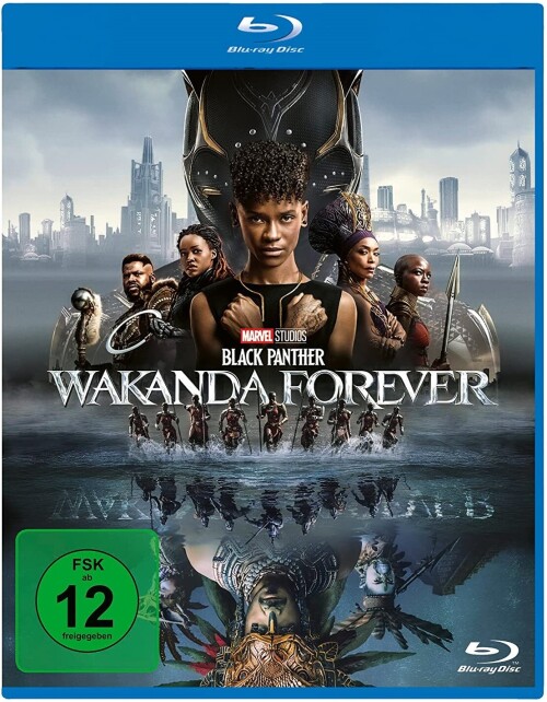 Black Panther: Wakanda Forever (2022) Dual Audio Hindi ORG BluRay x264 AAC 1080p 720p 480p ESub