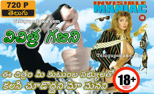 The-Invisible-Maniac-1990-Unrated-Telugu-Dubbed-Movie.jpeg