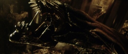 Alien Resurrection (1997) Telugu Dubbed Movie Screen Shot 5