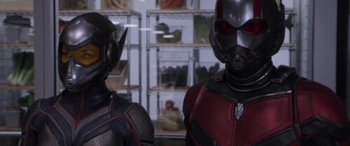 Ant Man and the Wasp (2018) Telugu Dubbed Movie Screen Shot 4