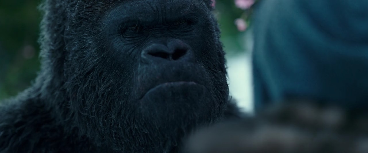 War-for-the-Planet-of-the-Apes-2017-Telugu-Dubbed-Movie-Screen-Shot-2.jpeg