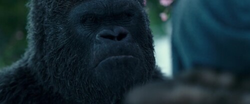 War for the Planet of the Apes (2017) Telugu Dubbed Movie Screen Shot 2