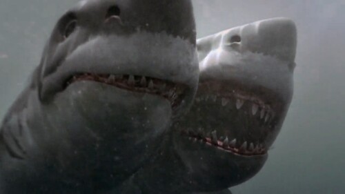 2 headed shark attack (2012) Telugu Movie Screen Shot 6
