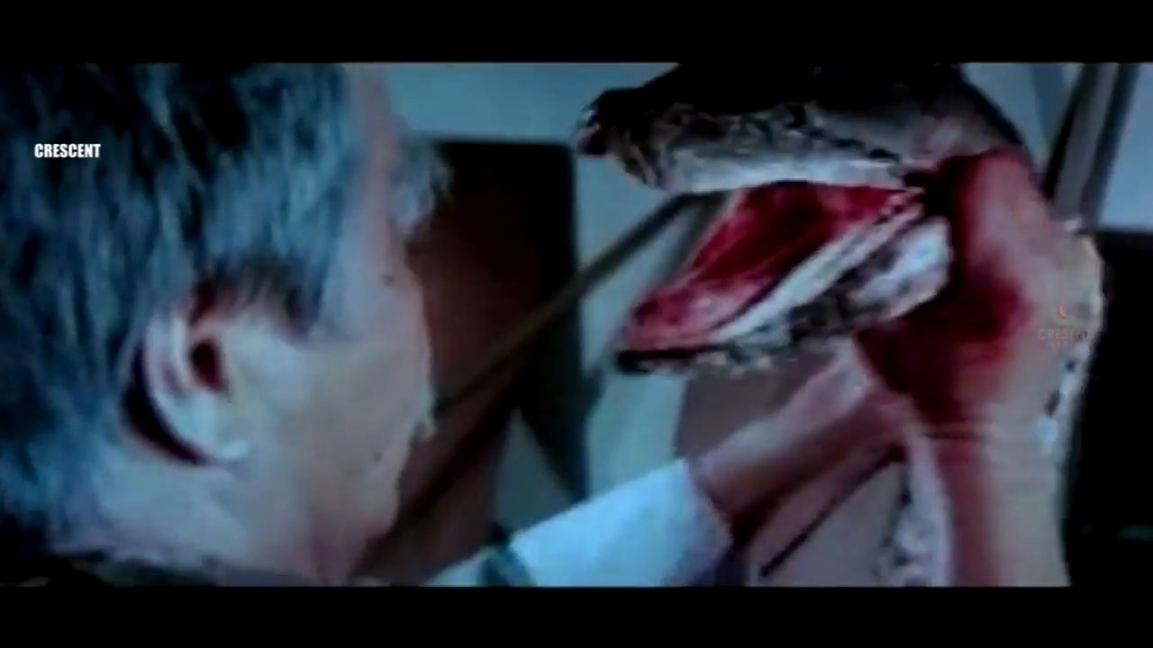 Calamity-Of-Snakes-Naga-Pralayam-1982-Telugu-Dubbed-Movie-Screen-Shot-6.jpeg