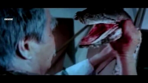 Calamity Of Snakes (Naga Pralayam) (1982) Telugu Dubbed Movie Screen Shot 6