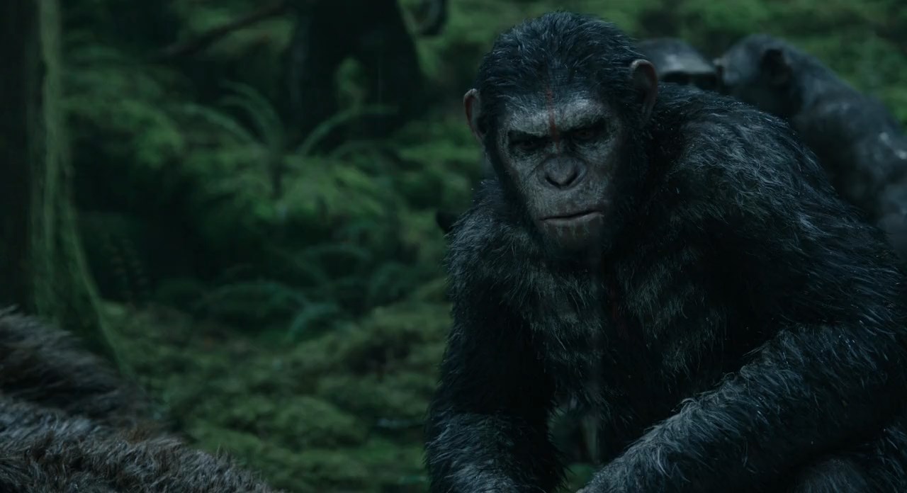 Dawn-of-the-Planet-of-the-Apes-2014-Telugu-Dubbed-Movie-Screen-Shot-1.jpeg