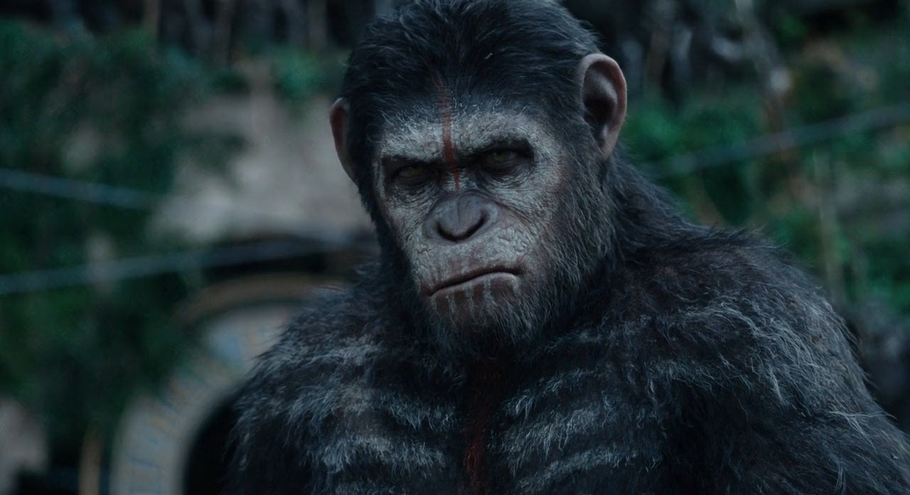 Dawn-of-the-Planet-of-the-Apes-2014-Telugu-Dubbed-Movie-Screen-Shot-2.jpeg