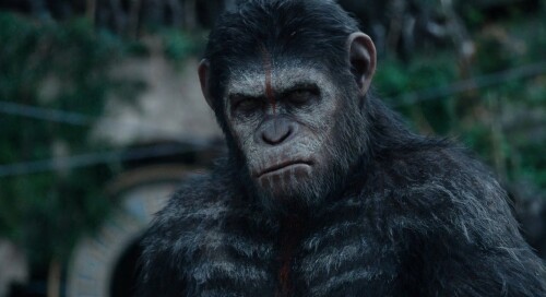 Dawn of the Planet of the Apes (2014) Telugu Dubbed Movie Screen Shot 2