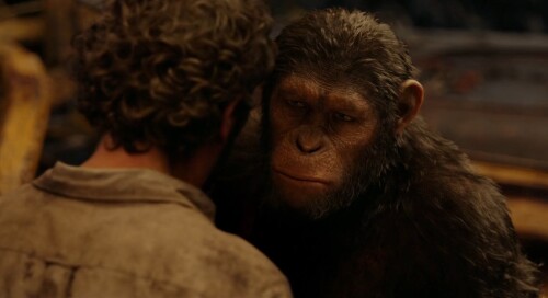 Dawn of the Planet of the Apes (2014) Telugu Dubbed Movie Screen Shot 6