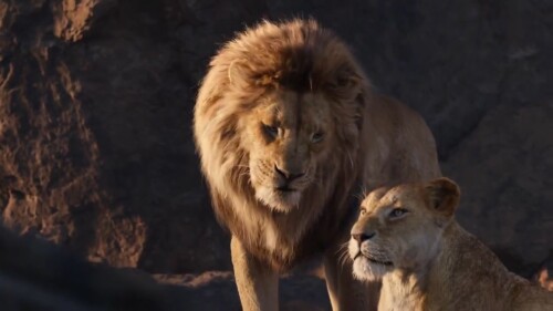 The Lion King (2019) Telugu Dubbed Movie Screen Shot 2