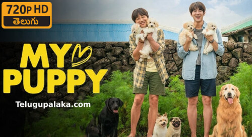 My Heart Puppy (2023) Telugu Dubbed Movie