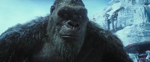 Godzilla vs. Kong (2021) Telugu Dubbed Movie Screen Shot 1