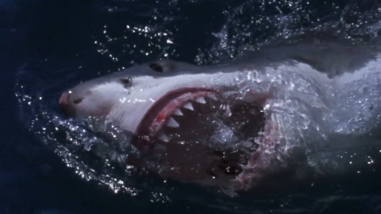 Raging-Sharks-2005-Telugu-Dubbed-Movie-Screen-Shot-2.jpeg