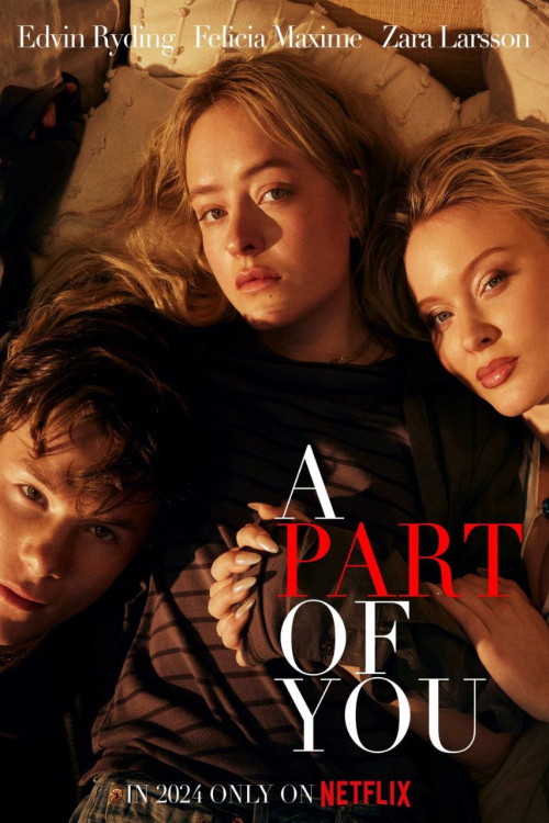 A Part Of You 2024 ORG Hindi Dual Audio 1080p | 720p | 480p NF HDRip ESub Download