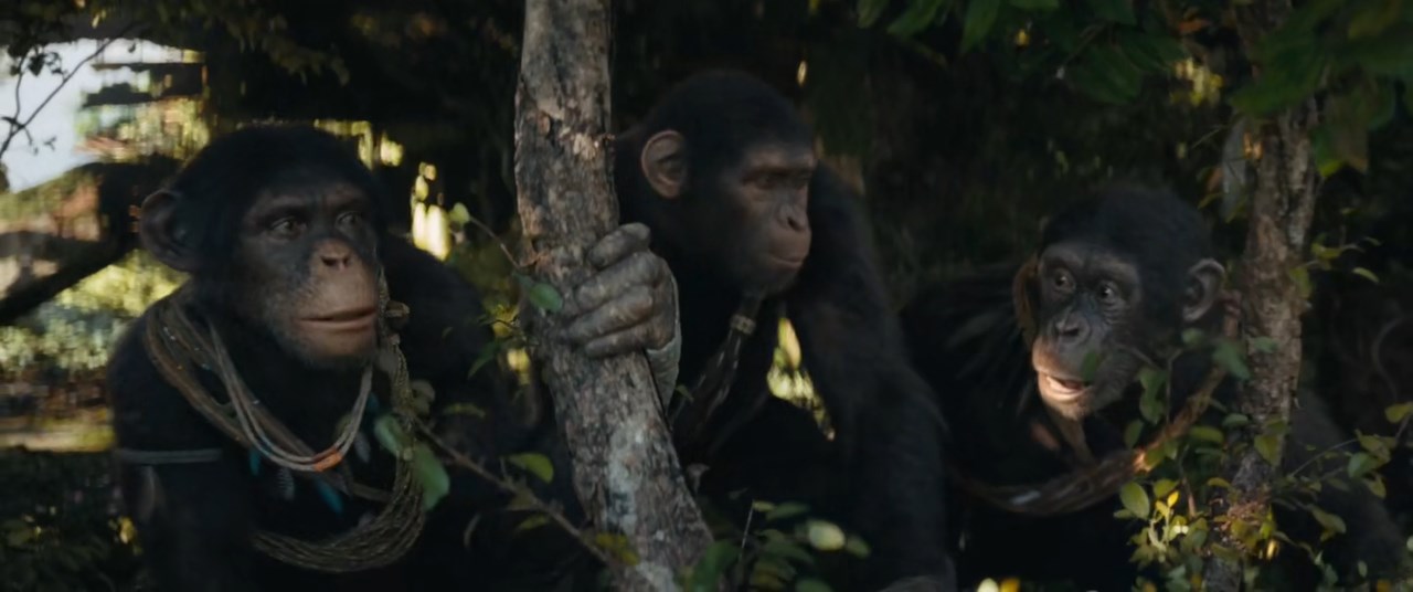 Kingdom of the Planet of the Apes (2024) Telugu Dubbed Movie Screen Shot 1