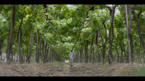 Bharat.Fintech.Story.S01E04.Progcap.1080p.HS.WEB-DL.AAC2.0.x264-DUS.mkv_20240830_180056.177.png
