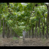 Bharat.Fintech.Story.S01E04.Progcap.1080p.HS.WEB-DL.AAC2.0.x264-DUS.mkv_20240830_180056.177
