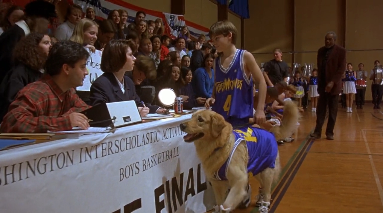 Air Bud (1997) Telugu Dubbed Movie Screen Shot 5