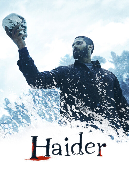 Haider-2014-HD-Poster.jpg