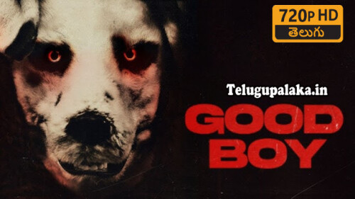 Good-Boy-2022-Telugu-Dubbed-Movie.jpg