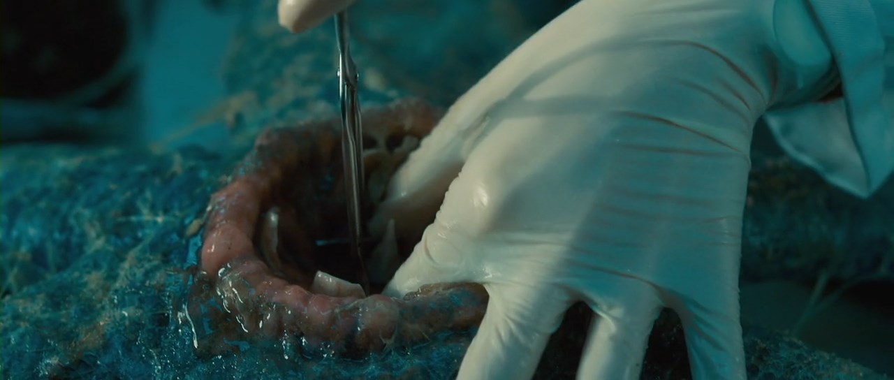 Grabbers (2012) Telugu Dubbed Movie Screen Shot 2