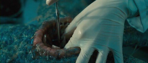 Grabbers-2012-Telugu-Dubbed-Movie-Screen-Shot-2.jpg