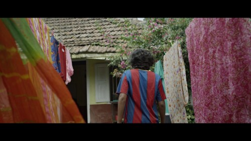 Parava.2017.1080p.BluRay.REMUX.AVC.DTS.5.1-BDR.mkv_snapshot_00.07.24.208.jpg