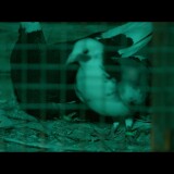 Parava.2017.1080p.BluRay.REMUX.AVC.DTS.5.1-BDR.mkv_snapshot_00.12.20.375