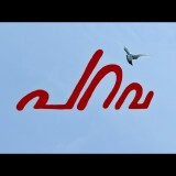 Parava.2017.1080p.BluRay.REMUX.AVC.DTS.5.1-BDR.mkv_snapshot_00.13.10.708