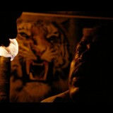 VTS_03_3.VOB_snapshot_16.41.559