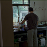 vlcsnap-2025-03-17-17h16m51s547