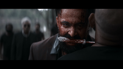 Marco-2024-1080P-SNYLV-WEB-DL-H264-DDP5.1-ATMOS-HINMALTELTAMKAN-ESUB-SHB931.mkv_20250321_212615.266.png