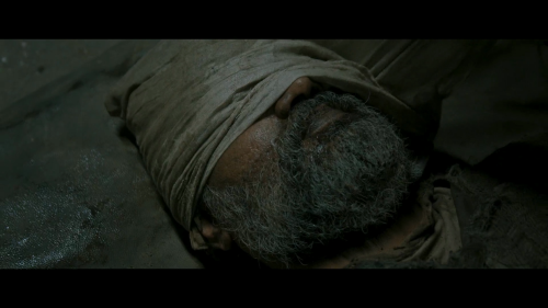 Gaami-2024-1080P-ZEE5-WEB-DL-H.264-DDP5.1-HINTELTAMKAN-ESUB-SHB931.mkv_20250323_000013.605.png