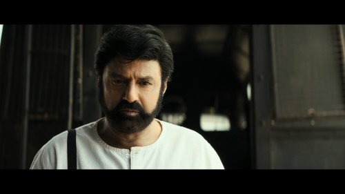 Daaku-Maharaaj-2024-1080P-NF-WEB-DL-H.264-DDP5.1-HINTELTAMMALKAN-ESUB-SHB931.mkv_20250323_230538.961.png