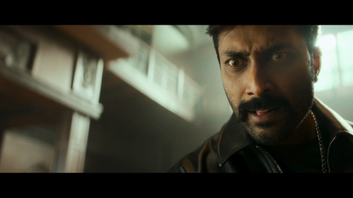 Daaku-Maharaaj-2024-1080P-NF-WEB-DL-H.264-DDP5.1-HINTELTAMMALKAN-ESUB-SHB931.mkv_20250323_230626.473.png