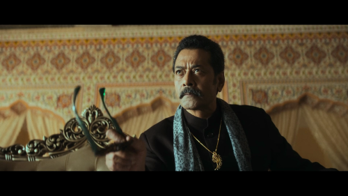 Daaku-Maharaaj-2024-1080P-NF-WEB-DL-H.264-DDP5.1-HINTELTAMMALKAN-ESUB-SHB931.mkv_20250323_230712.185.png