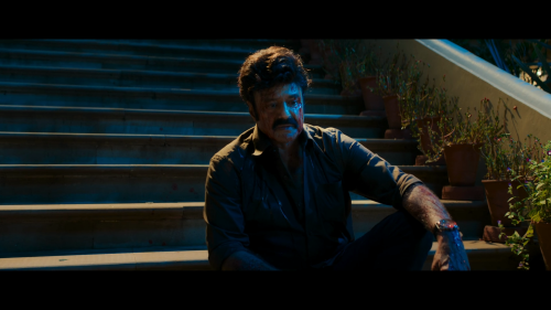 Daaku-Maharaaj-2024-1080P-NF-WEB-DL-H.264-DDP5.1-HINTELTAMMALKAN-ESUB-SHB931.mkv_20250323_230730.185.png